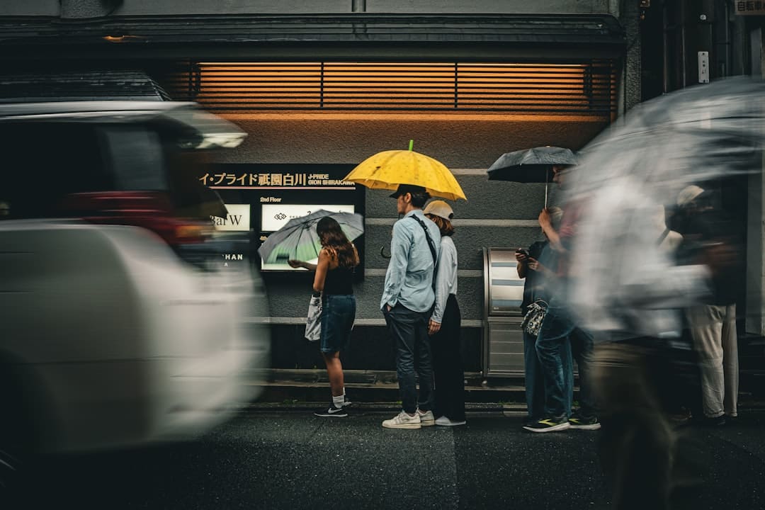 江西发现新物种婺源合跳蛛
